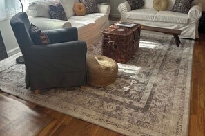 Smart TV, fireplace, books, music library