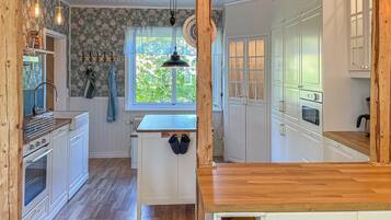 Kühlschrank, Ofen, Herdplatte, Geschirrspüler