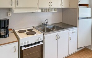 Fridge, stovetop, coffee/tea maker