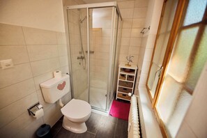 A bathroom with a toilet, shower, and a small shelf with toiletries. - A warm, tastefully decorated living room equipped with a comfortable sofa bed for 2 people.A fully r (Thyon-Les Collons)