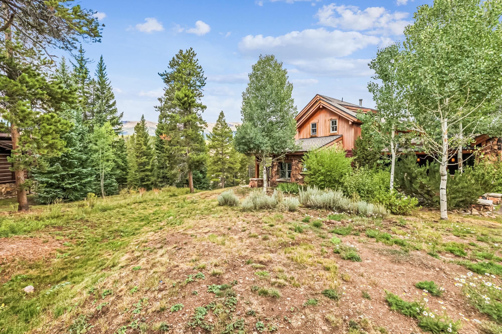 A rustic cabin with a stone porch, surrounded by dense forest and a grassy yard.