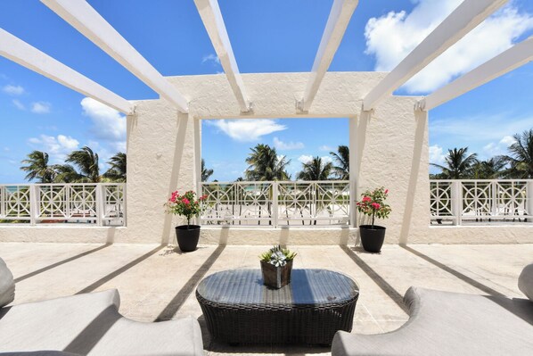 テラス / パティオ