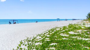 A beach with clear blue water, a few people, and some greenery on the sand.