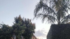 Une allée menant à une maison, avec un petit jardin devant, un arbre et une haie.