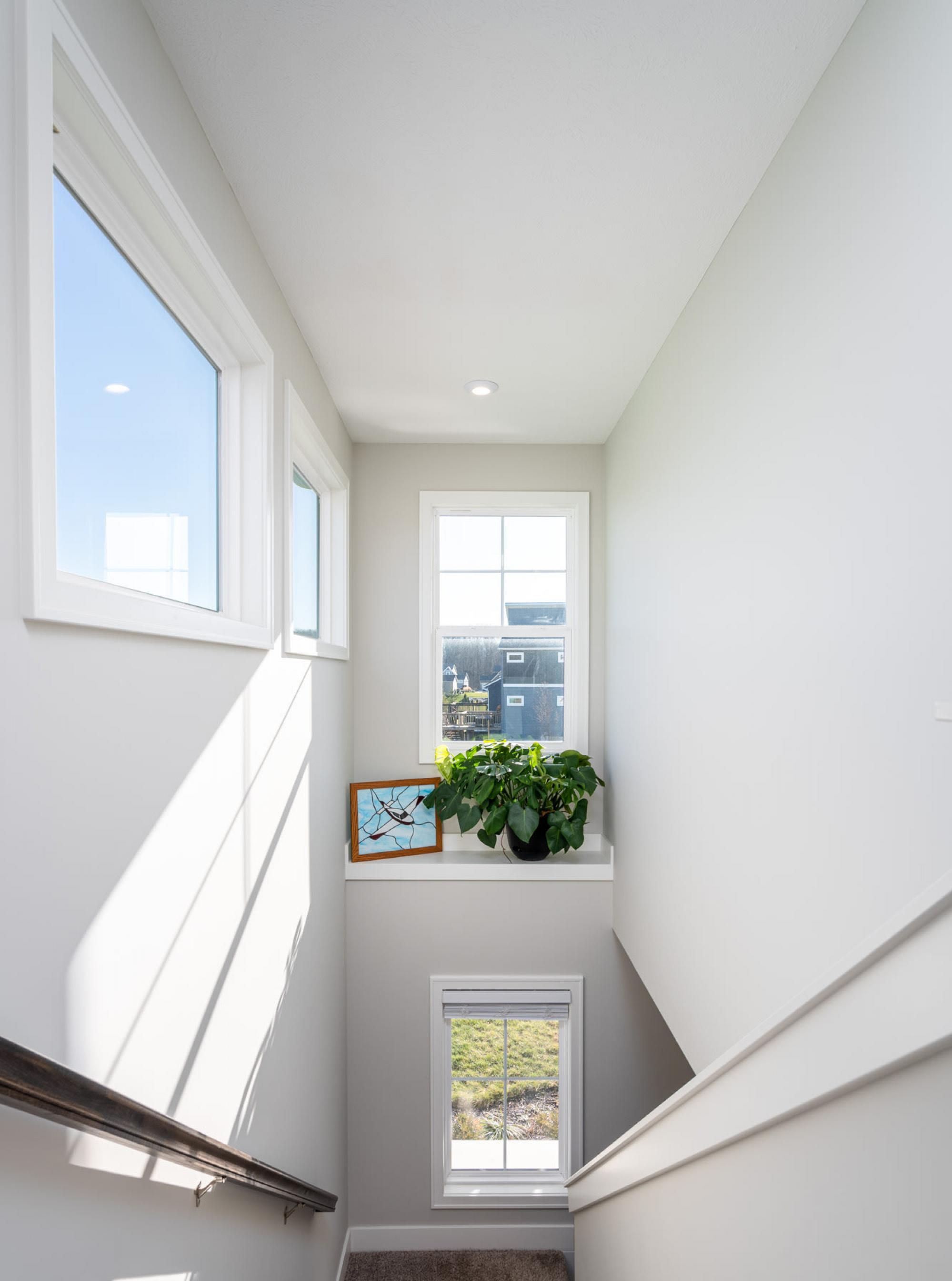 A narrow stairwell with a view of the outside, a potted plant, and a framed picture on the wall.