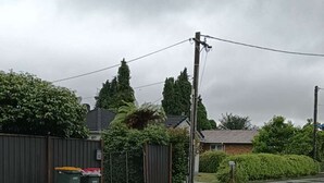 A residential street with houses, a fence, and two green bins. - 1 Double and 1 single Bed unit B (Rotorua)