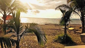 Une plage bordée de palmiers, avec vue sur l’océan.