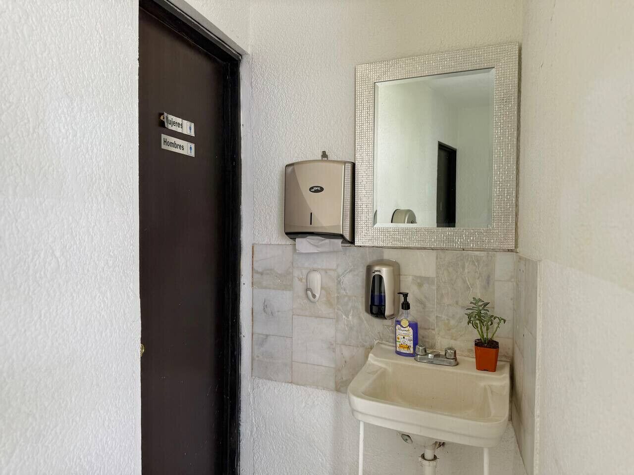 Baño con lavamanos, espejo, dispensador de jabón y puerta con señalización de género.