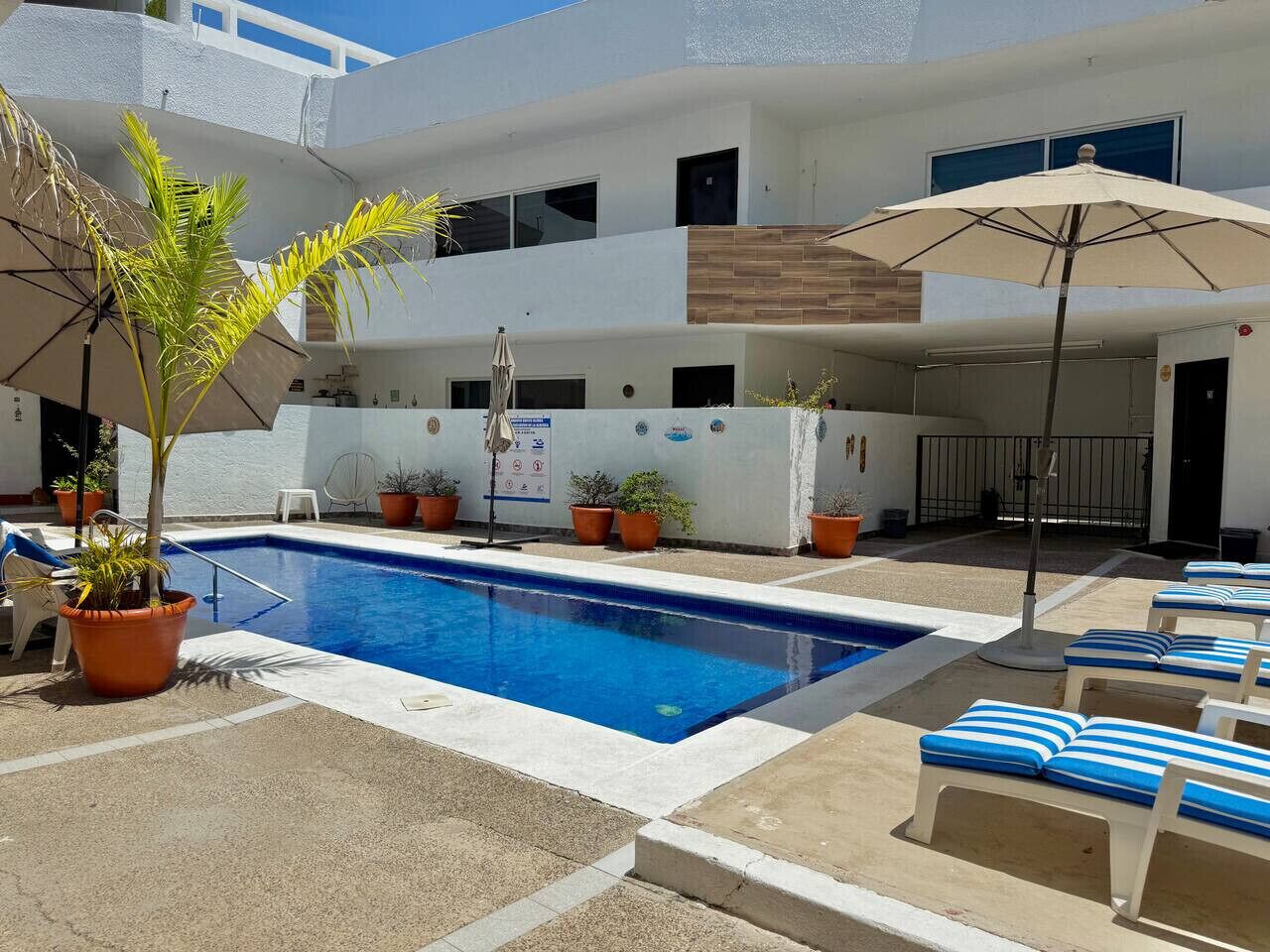 Un espace piscine aménagé avec des chaises longues et des plantes en pot.