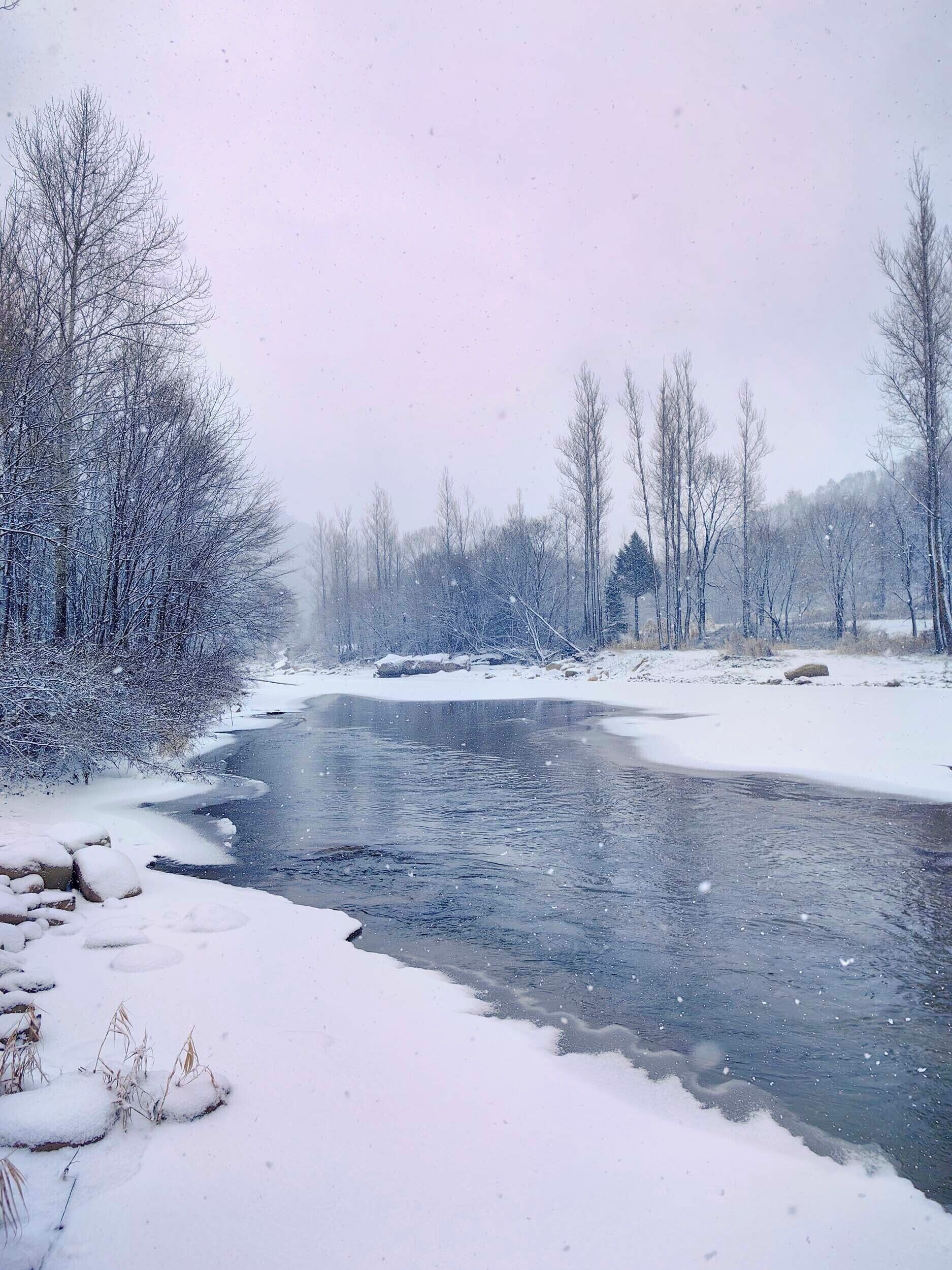 Un río rodeado de árboles cubiertos de nieve y una superficie helada.