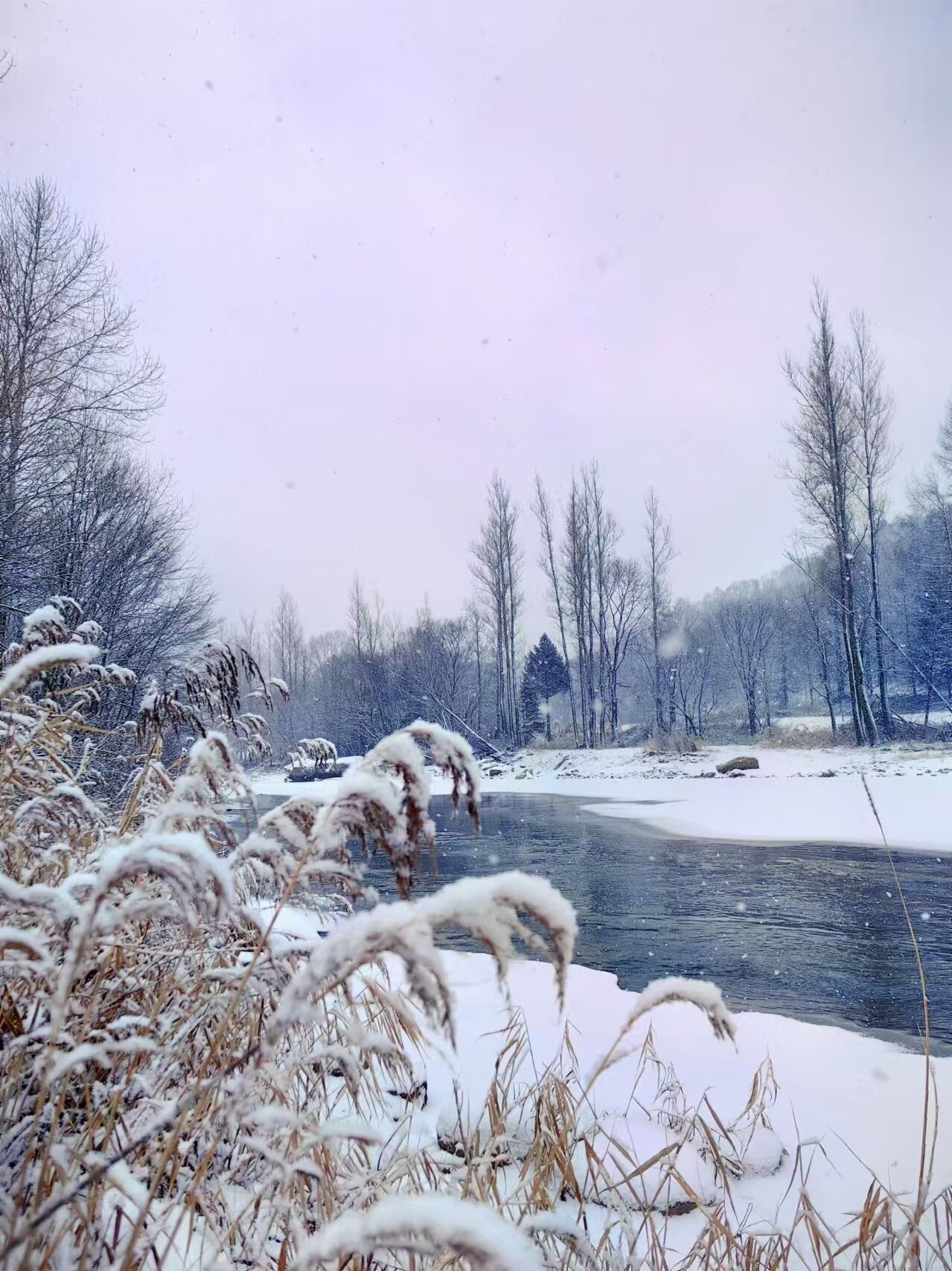 Paisaje invernal con un río, árboles cubiertos de nieve y una orilla helada.