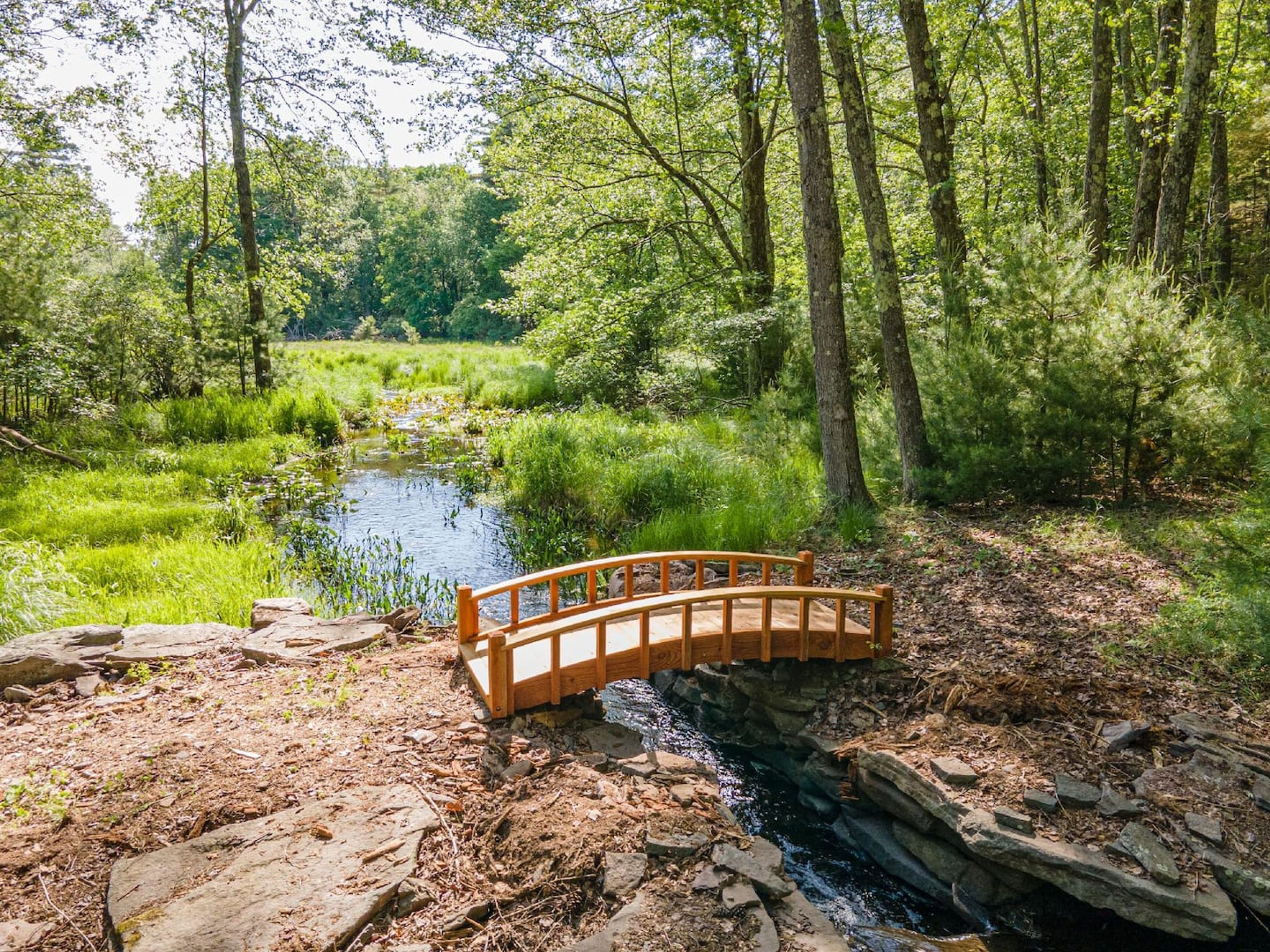 Un pont en bois enjambant un petit ruisseau dans une zone boisée.