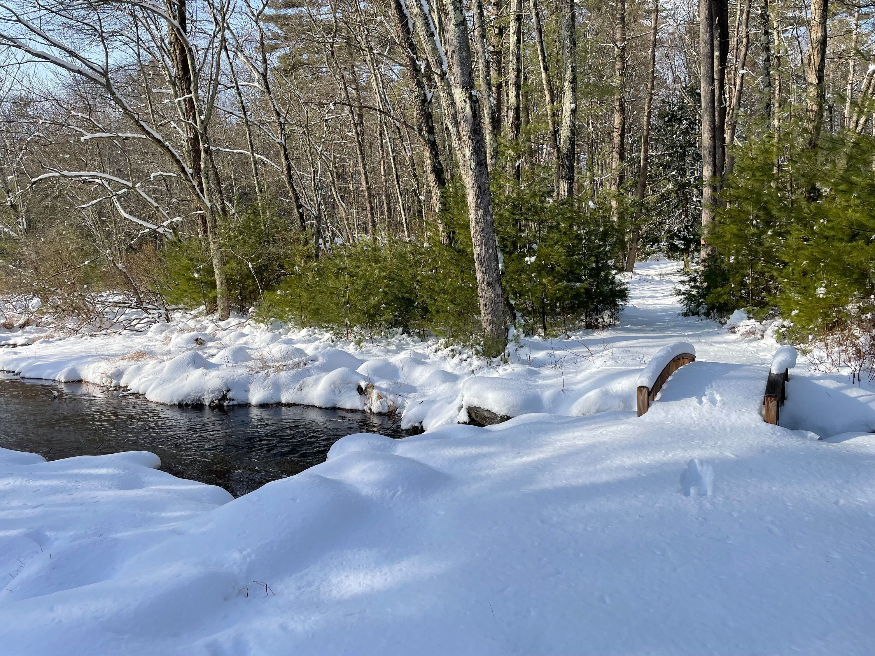 A snow-covered forest path with a small stream.