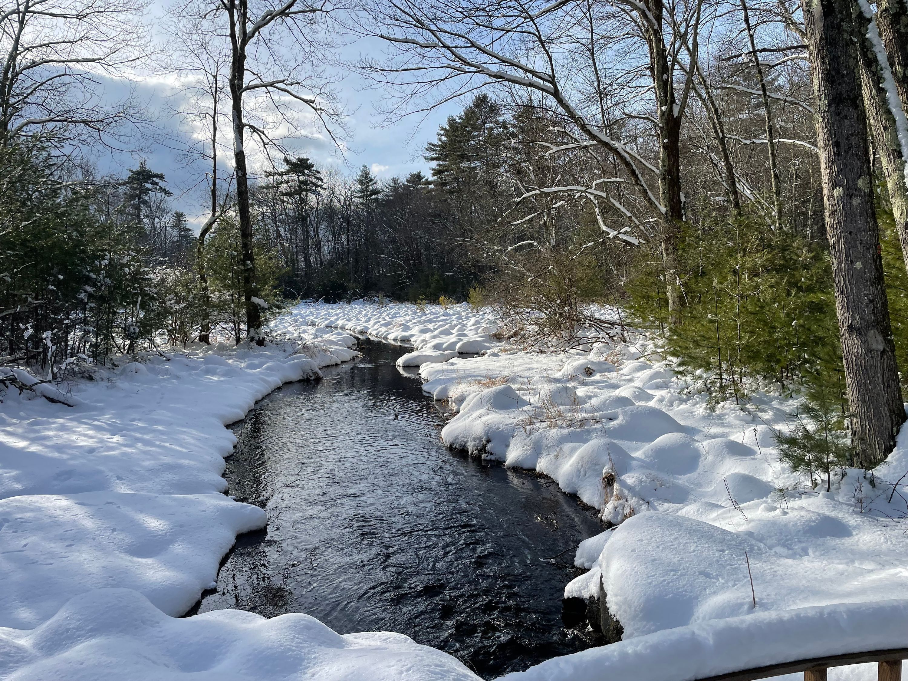 Un arroyo cubierto de nieve en un bosque con árboles y montones de nieve.