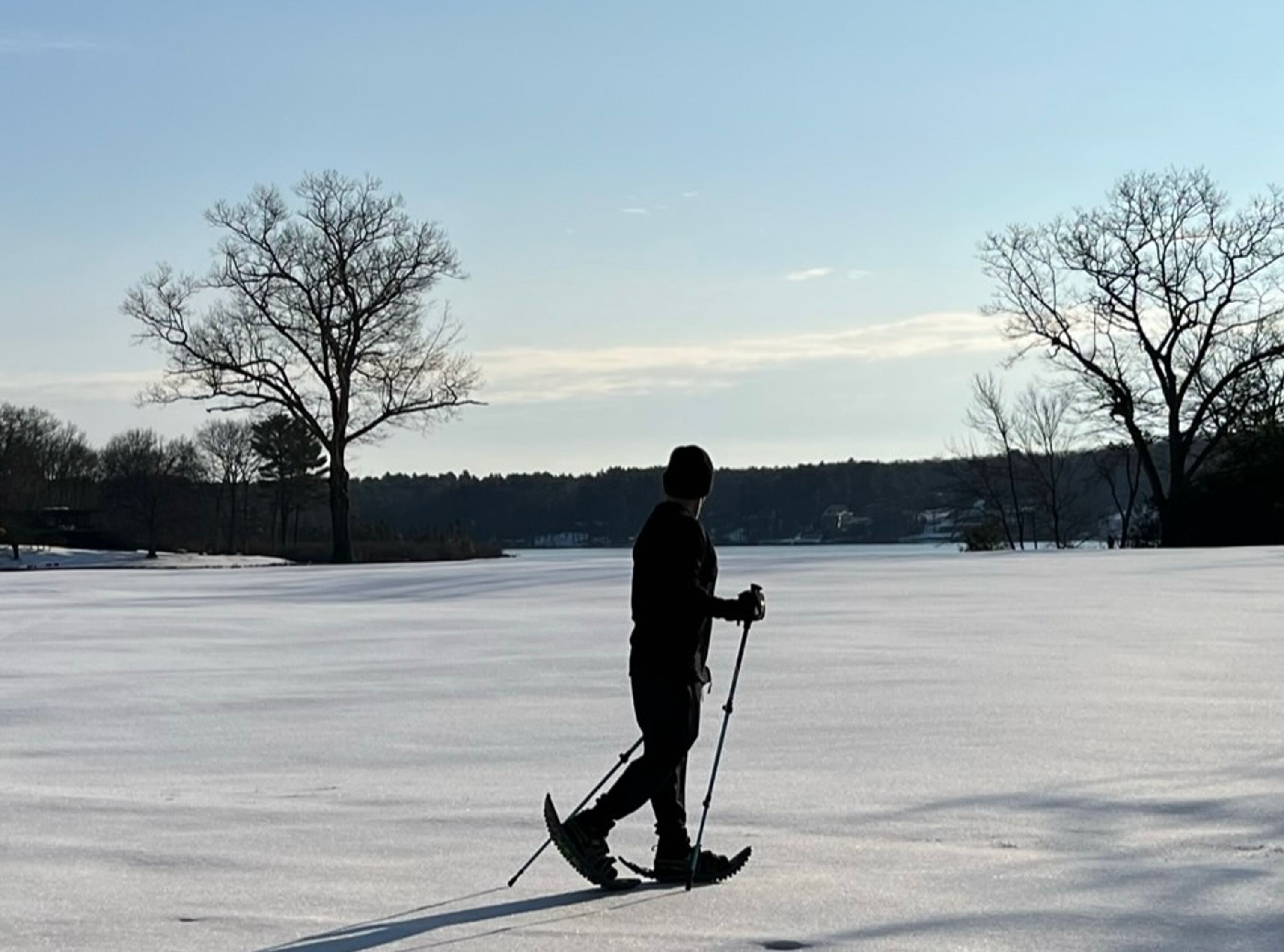 Iemand skiënd op een vlak, met sneeuw bedekt oppervlak, met kale bomen en een heldere lucht op de achtergrond.