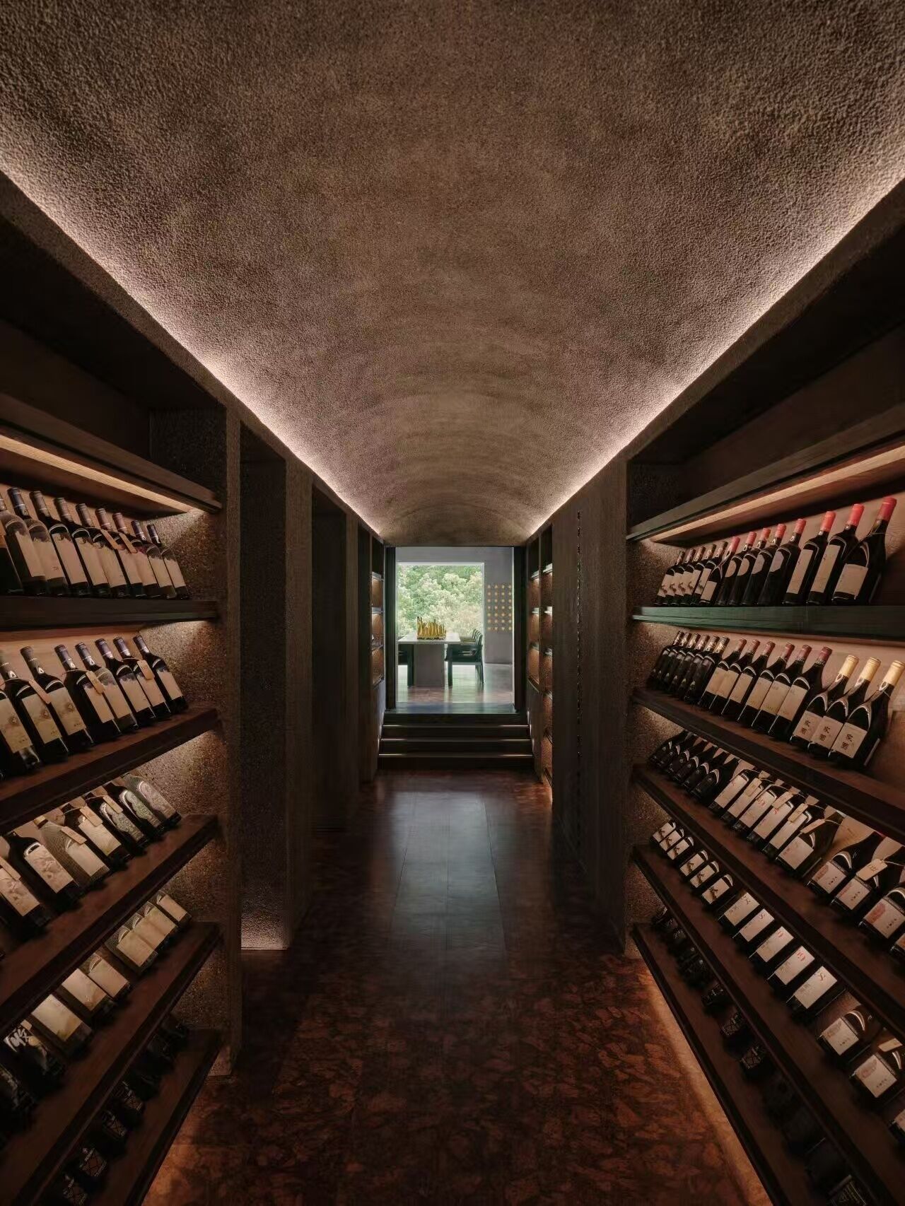 Una cava con estantes llenos de botellas de vino a ambos lados, que conduce a una mesa y sillas al aire libre.