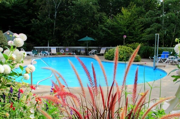 Alberca techada y alberca al aire libre