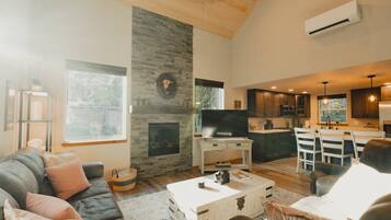 Smart TV, fireplace, books