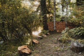 Ein bewaldetes Gebiet mit einem Feldweg, Holzstapeln und großen Baumstümpfen.