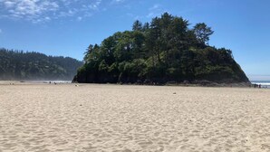 A sandy beach with a forested hill in the background.