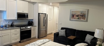 High Rise Downtown Apartment