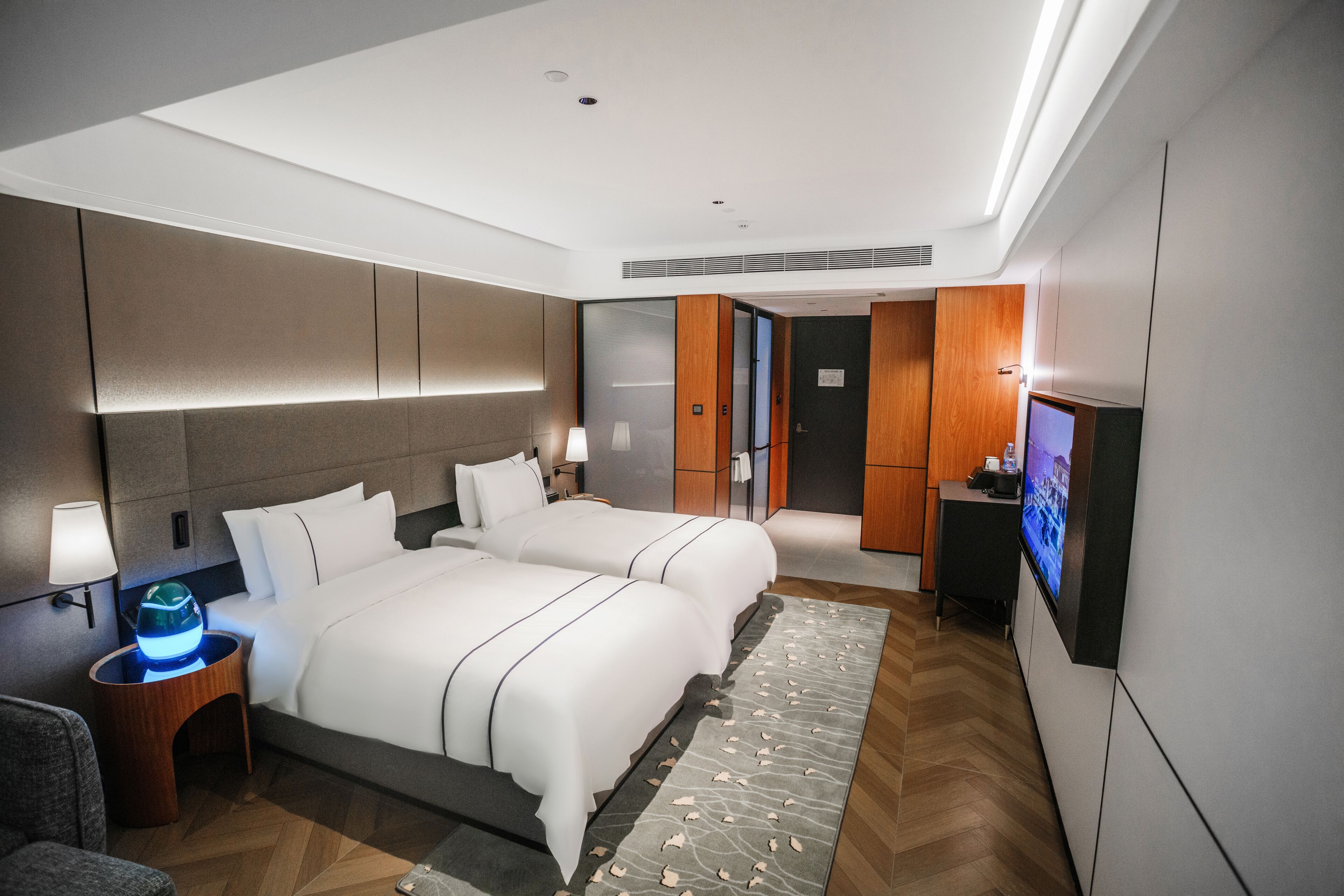 A modern hotel room with a large bed, bedside tables, a flat-screen TV, and a decorative rug.