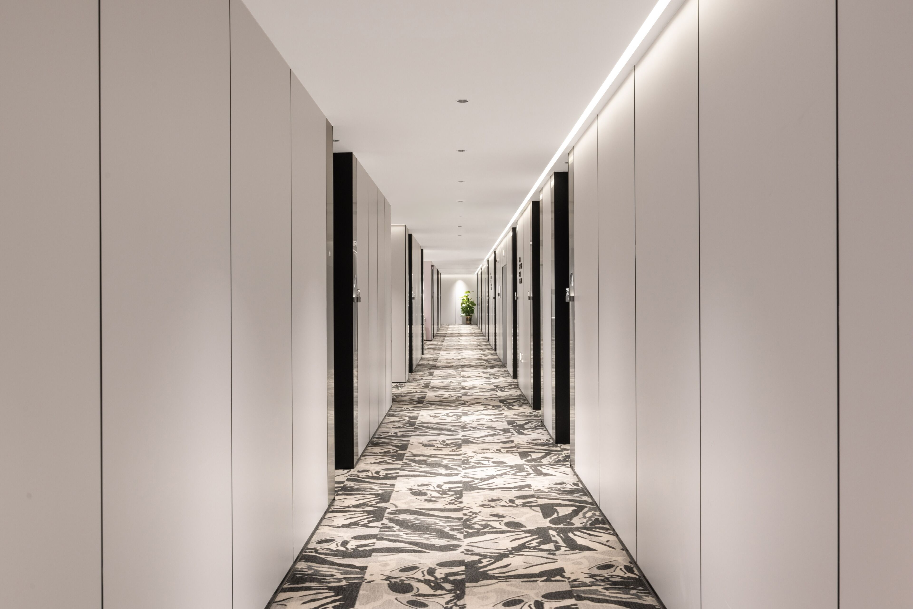 Handrails in hallways