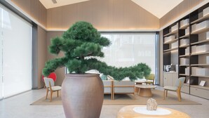 A modern interior with a large potted tree, comfortable seating, and a well-organized bookshelf. - Ji Hotel Guangzhou Baiyun Station Sanyuanli Avenue (Guangzhou)