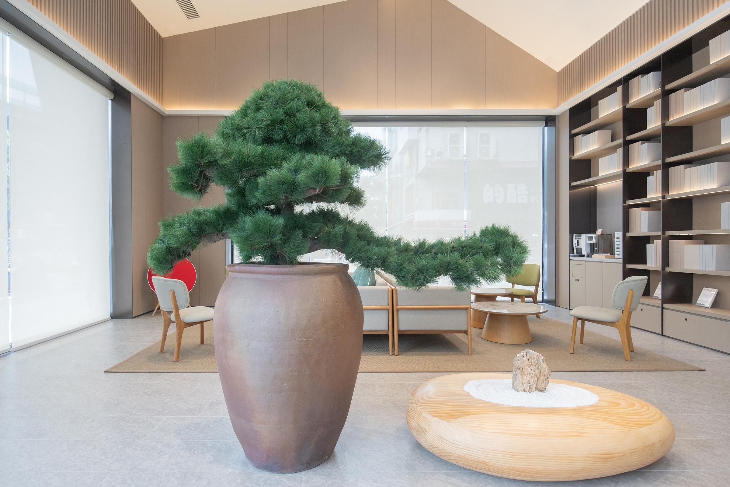 A modern interior with a large potted tree, comfortable seating, and a well-organized bookshelf.