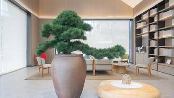 A modern interior with a large potted tree, comfortable seating, and a well-organized bookshelf.