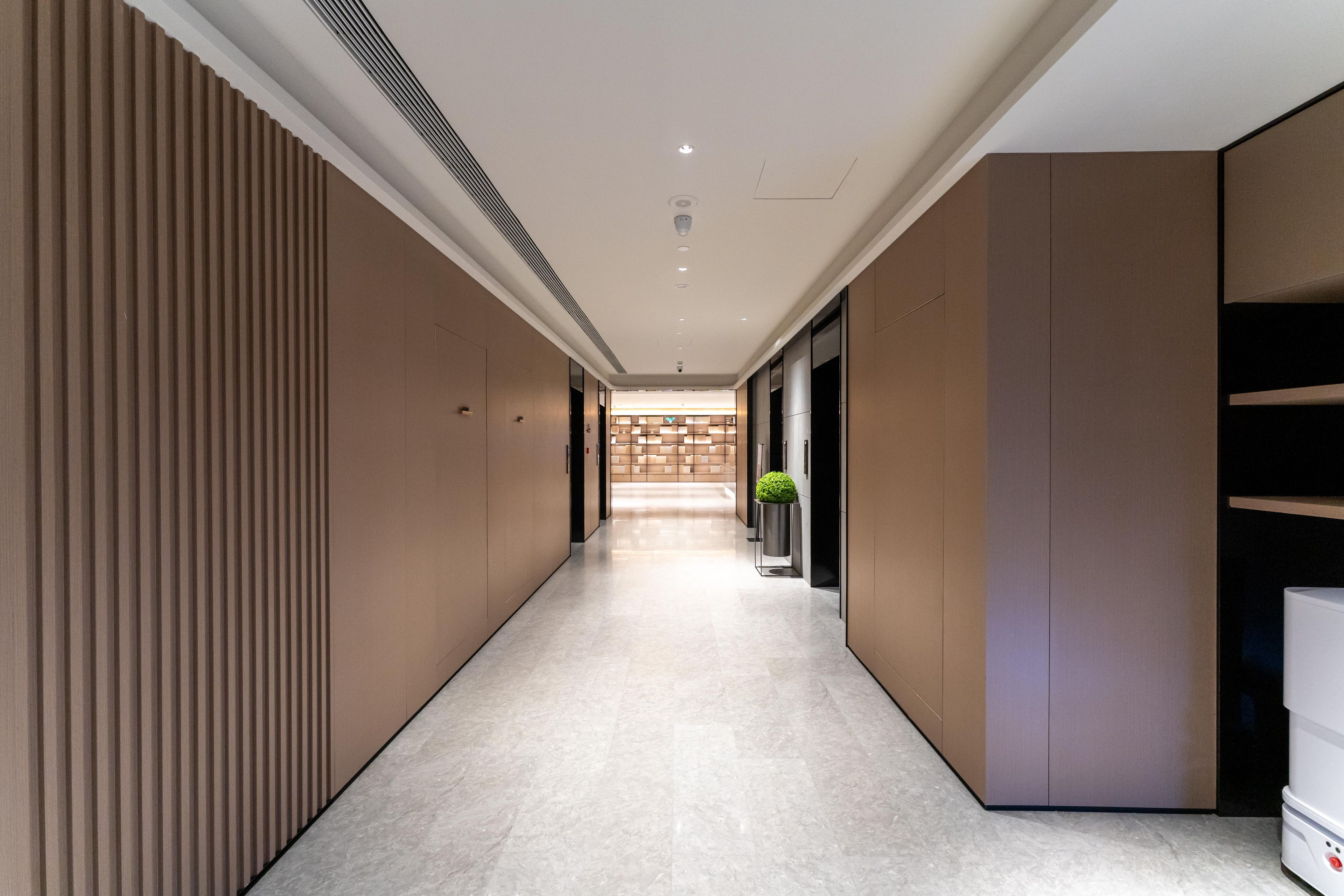 A modern hotel corridor with a straight path, recessed lighting, and a central plant.