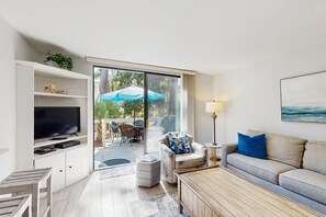 Fernseher, DVD-Player, Videothek