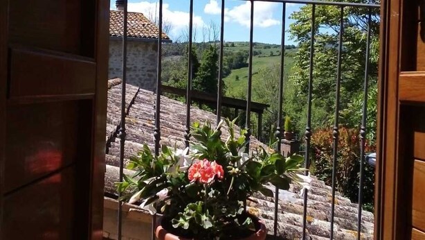 Un balcon agrémenté d’un pot de fleurs et offrant une vue sur un paysage rural.