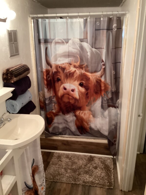 Interior - 4-bedroom mobile home in marvelous High Springs (High Springs)