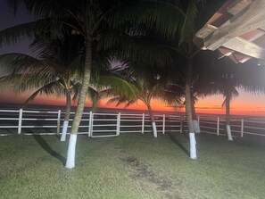 Ein von einer Hecke umgebener Außenbereich mit Palmen und Blick auf den Sonnenuntergang.