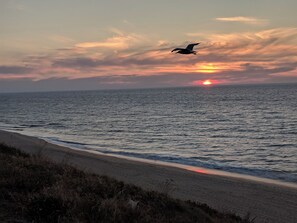 Una playa cerca