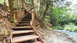 Una escalera de madera que sube hacia un área boscosa.