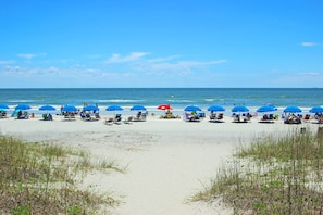 On the beach