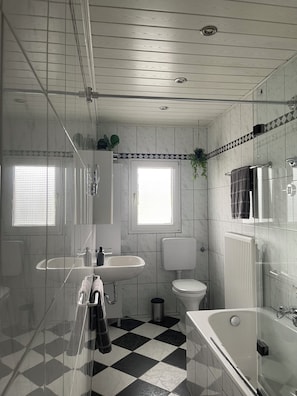 Shower, hair dryer, towels