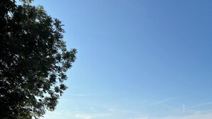 Un tavolo da picnic vicino al lago, con una barca a vela in lontananza.