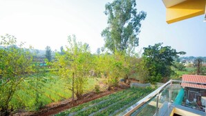 Un balcó amb vista a un jardí i un edifici allunyat.