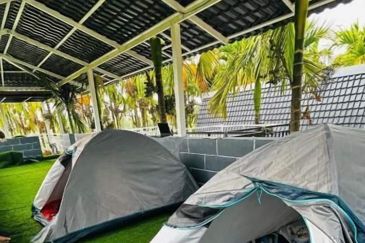 Tent | Free WiFi