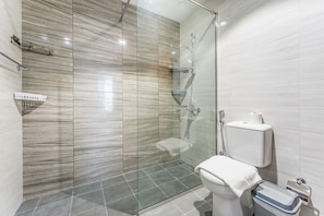 Shower, hair dryer, bidet, towels