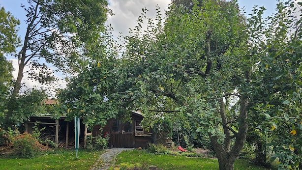 Une maison en bois à l’allure rustique, entourée d’une végétation luxuriante et bordée d’un chemin pavé.