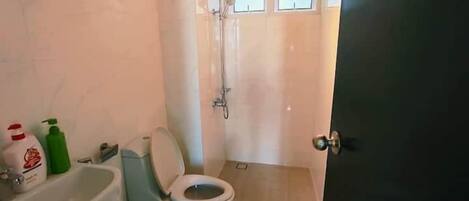 A bathroom with a toilet, a sink, and a shower.