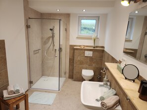 Shower, hair dryer, towels