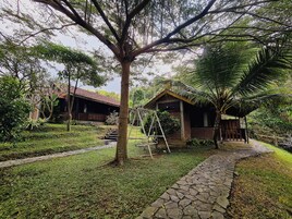 Una casa de madera rústica con techo de paja, rodeada de exuberante vegetación y un sendero de piedra.