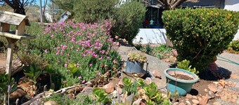 Karoo Rust Victoria West Family Friendly Units