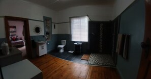 Shower, towels, soap, toilet paper