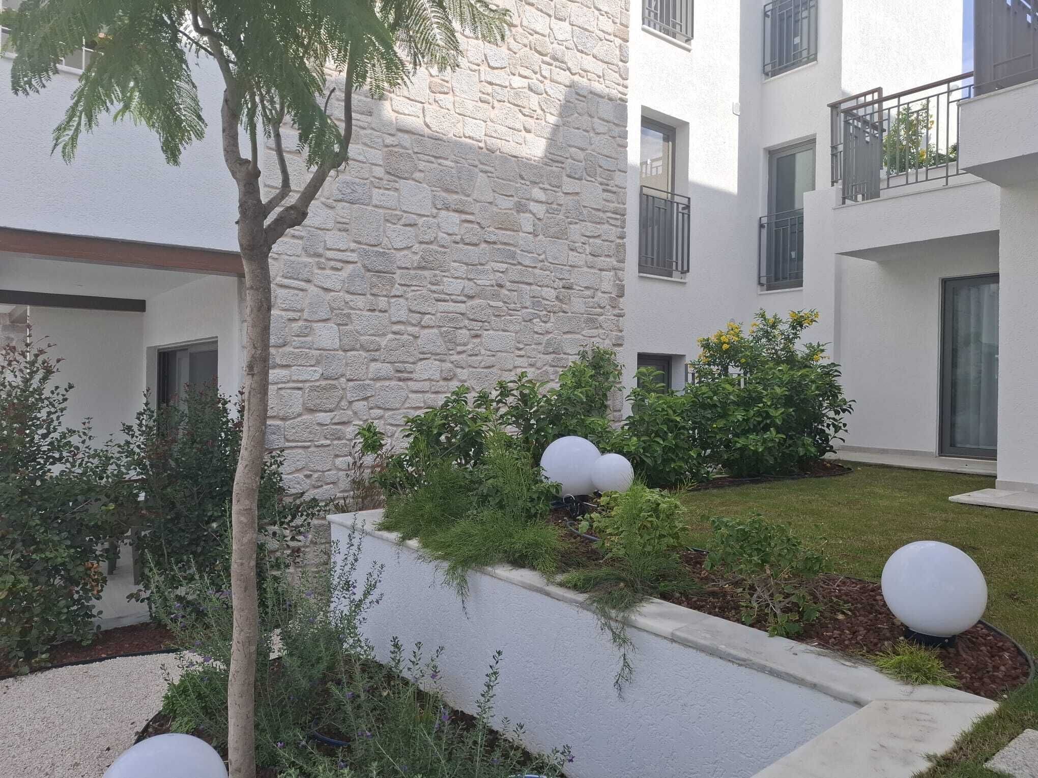 A courtyard with a stone wall, a tree, and a well-maintained garden with shrubs and spherical planters.